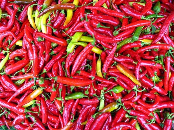 chili-pepper7