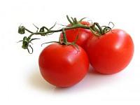 pomidory_21232721