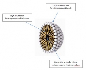 Skuteczność liposomów i micelów