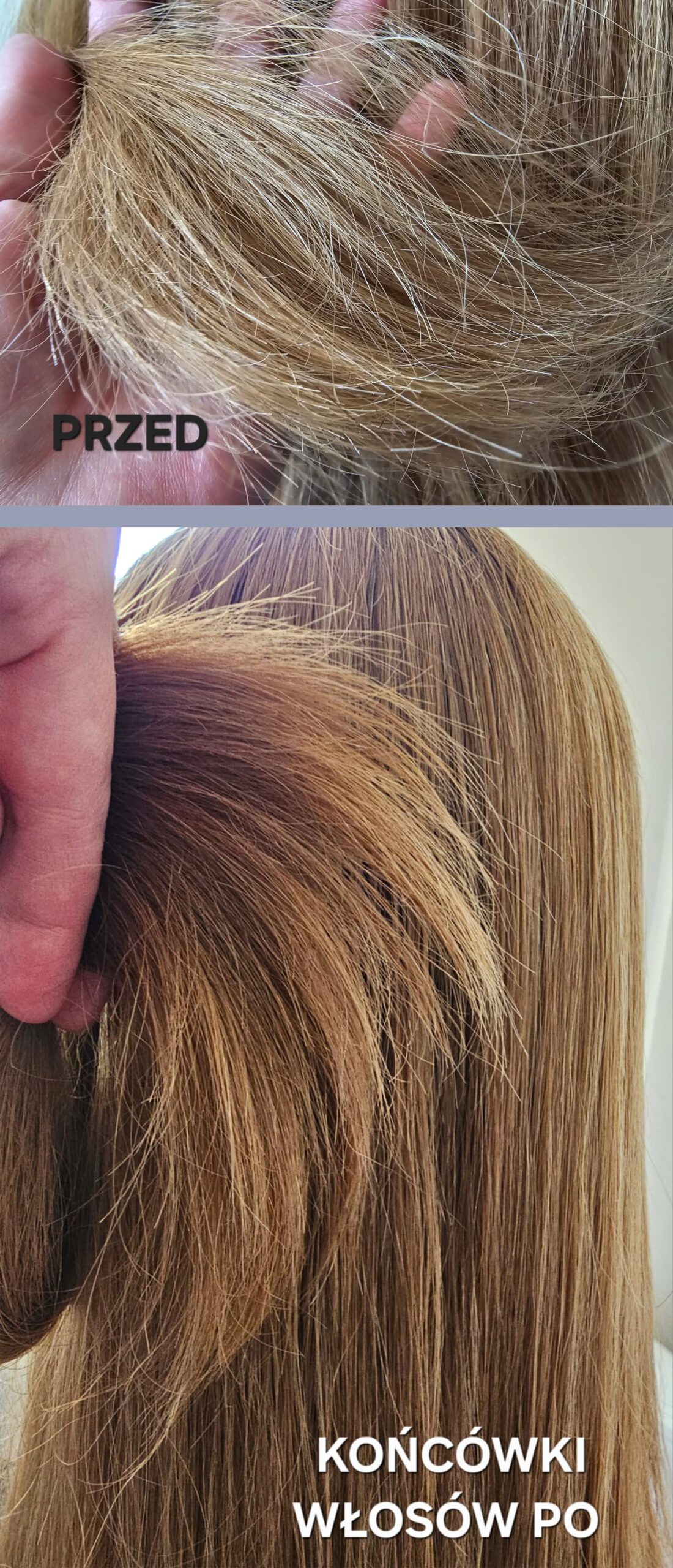 Zdjęcie test3 copy